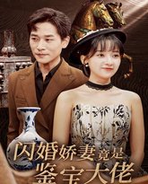闪婚娇妻竟是鉴宝大佬 高清封面