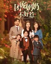 团宠奶奶不好惹 高清封面