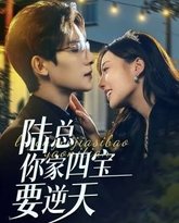 陆总你家四宝要逆天 高清封面