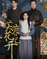 芙蓉花已开 高清封面