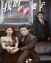 我的危险妻子 高清封面