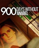 失联900天：安娜贝尓绑架案 封面