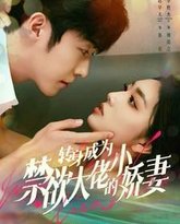 转身成为禁欲大佬的小娇妻 高清封面
