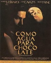 巧克力情人 封面