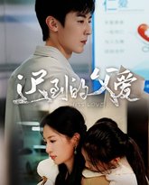 迟到的父爱 高清封面