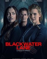 黑水巷 高清封面