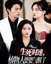 生死时速植物人婆婆气醒了 高清封面