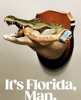 这里可是佛罗里达 封面