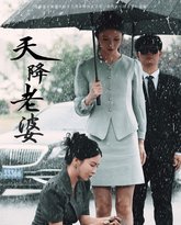 天降老婆 高清封面