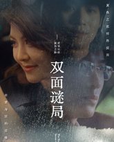 双面谜局 高清封面