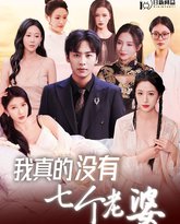 我真的没有七个老婆 高清封面