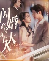 闪婚高冷机长大人（机长先生听我指挥） 高清封面