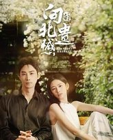 向北的遗憾 封面