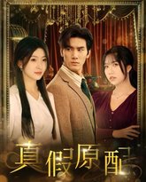 真假原配 封面