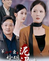 第二十条之婚姻沼泽难自拔 高清封面