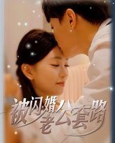 被闪婚老公套路 高清封面