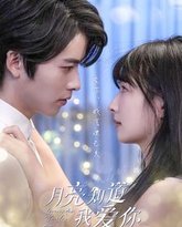 月亮知道我爱你 高清封面