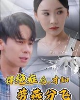 得绝症后才知劳燕分飞 高清封面