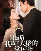 闪婚后我成了大佬的掌中之物 高清封面