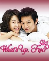 狐狸啊你干啥呢 封面