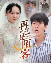 再见已是陌客（归来的星光） 高清封面