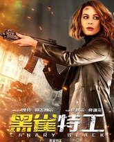 黑雀特工普通话版 封面