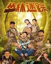 丛林迷踪 高清封面