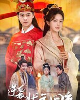 逆袭之状元回乡 封面