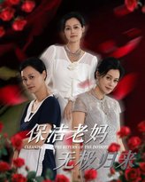 保洁老妈无极归来 高清封面