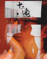 十三邀 第八季 高清封面