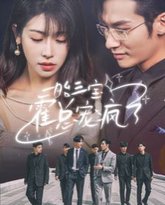 一胎三宝霍总宠疯了 高清封面