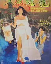 人皮灯笼1993 封面