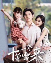 十一年等雪 高清封面