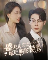 盛夫人每天都在装乖巧 高清封面