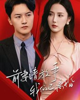 前妻请放手，我们已离婚 高清封面