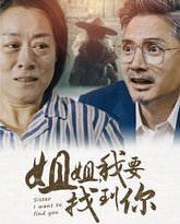 姐姐我要找到你 高清封面