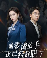 前妻请放手，我已经辞职了 高清封面