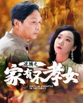 逆鳞之家有不孝女 高清封面