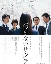 不朽的樱花 封面