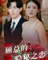 顾总的隐秘之恋 高清封面
