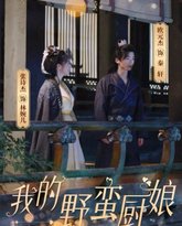 我的野蛮厨娘 高清封面