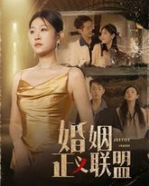 婚姻正义联盟 高清封面