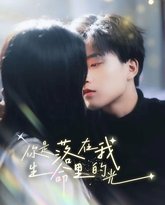 你是落在我生命里的光 高清封面