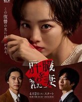 被夺走肝的妻子 封面