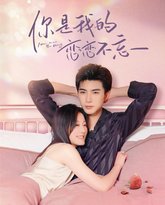 你是我的恋恋不忘（你是我的念念不忘） 高清封面