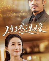 人生不惑遇见爱（中年闪婚老伴竟是全国首富） 高清封面