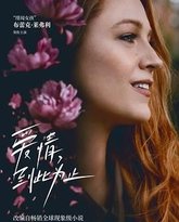 爱情，到此为止 封面