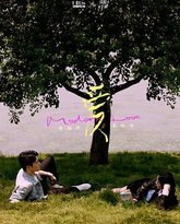 他们的奇妙时光 封面