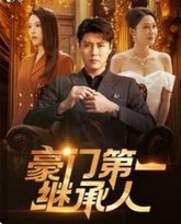 豪门第一继承人 高清封面