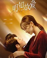 明知故爱 高清封面